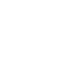 Golden Touch Logo